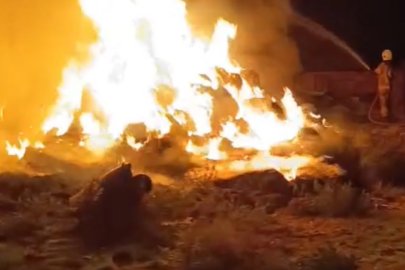 Karacabey'de çiftlik alevlere teslim oldu