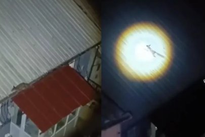 Bursa'da yolunu şaşıran tilki evin çatısında görüntülendi