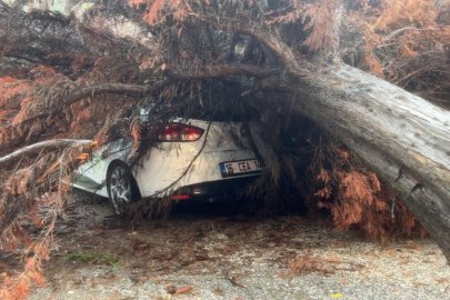 Bursa’da yağışın etkisiyle devrilen ağaç otomobilin üzerine düştü
