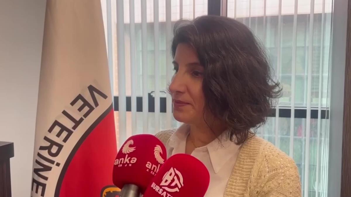 Bursa Veteriner Hekimler Odası Başkanı Baysal: Veteriner hekimlerin ötekileştirilmesine göz yumuldu