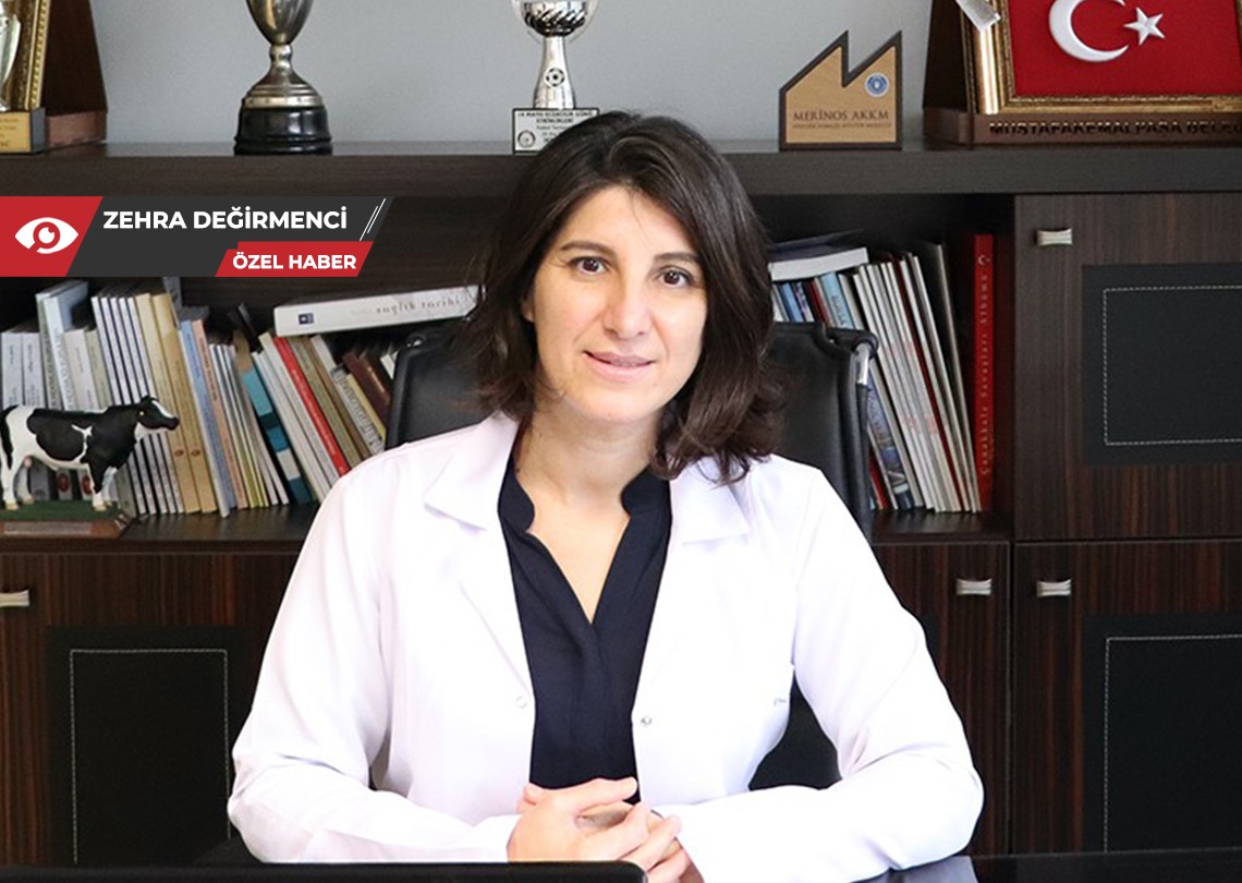 BVHO Başkanı Baysal: Birçok başkan adayı sahipsiz hayvanlar için sorumluluk hissetmiyor