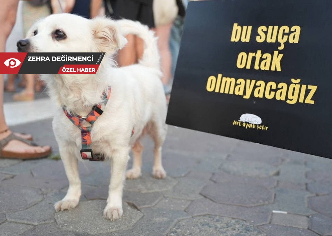 ‘Katliam Yasası’ yönetmeliği ölümden başka seçenek sunmuyor