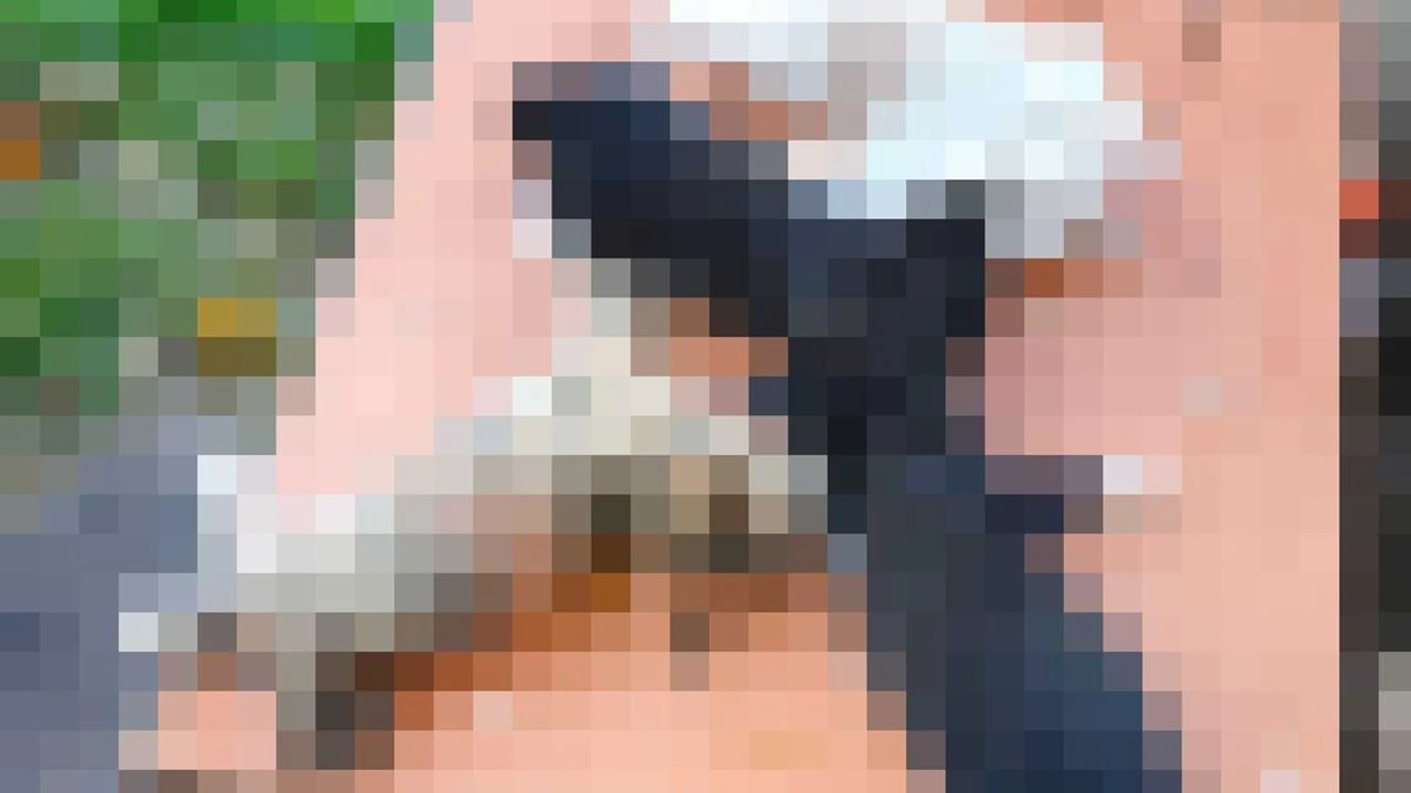 Gemlik’te 8 yavru kedinin katledilmesine Bursa Veteriner Hekimler Odası’ndan tepki