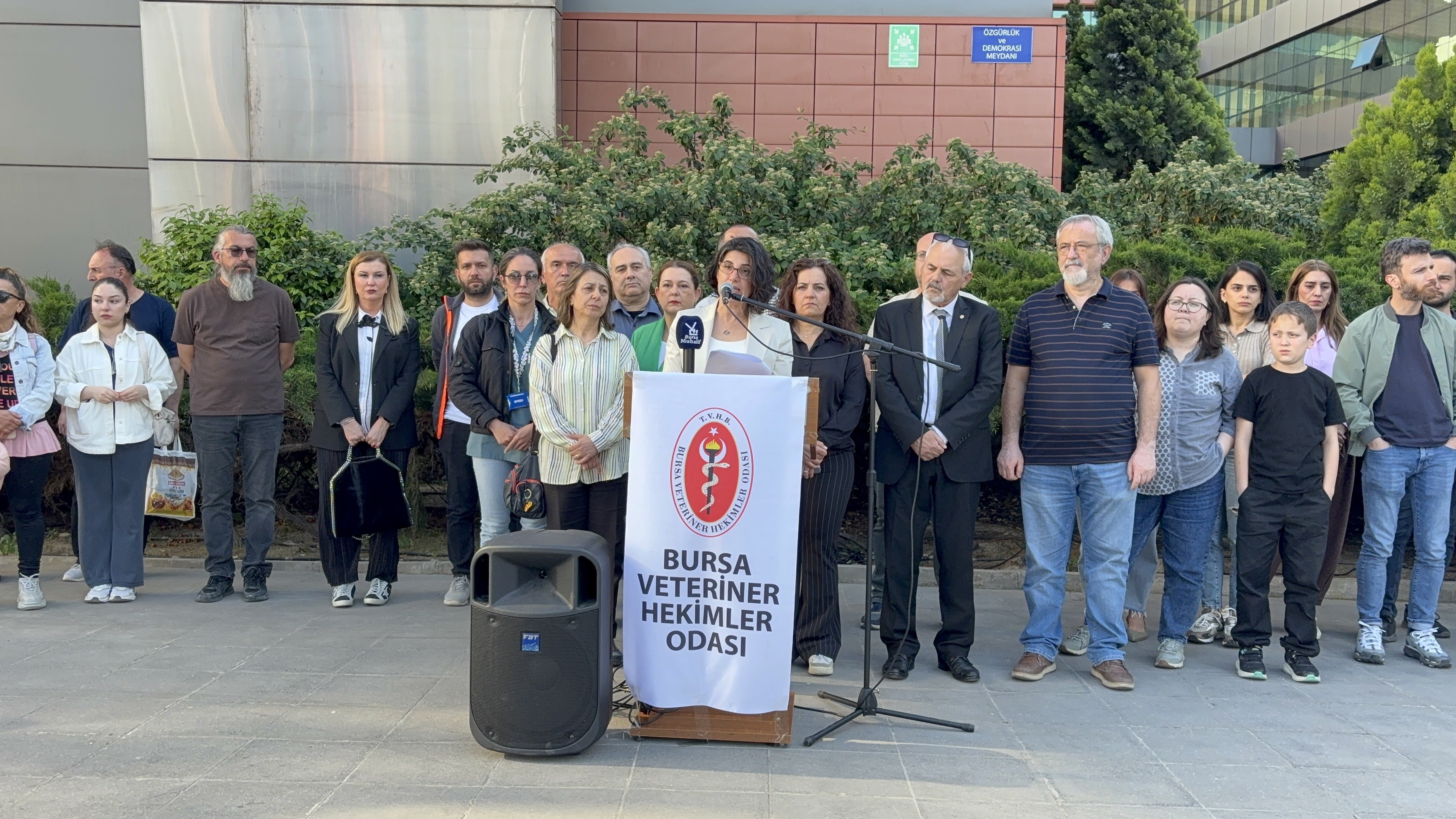 BVHO’dan Osmangazi Belediyesi’ndeki hayvan katliamı iddialarına dair açıklama