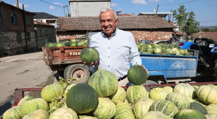 Nilüfer’de kavun üretimi iki katına çıktı