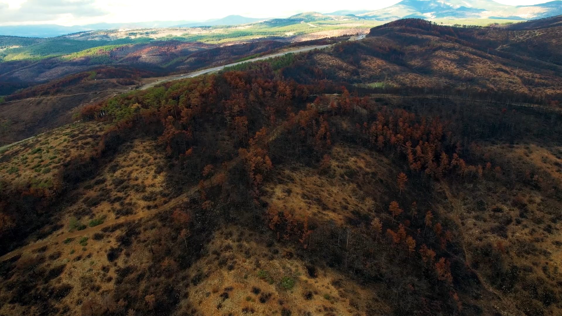 Bursa’daki orman yangınında 953 hektar küle döndü: 300 bin fidanla yeniden hayat veriliyor